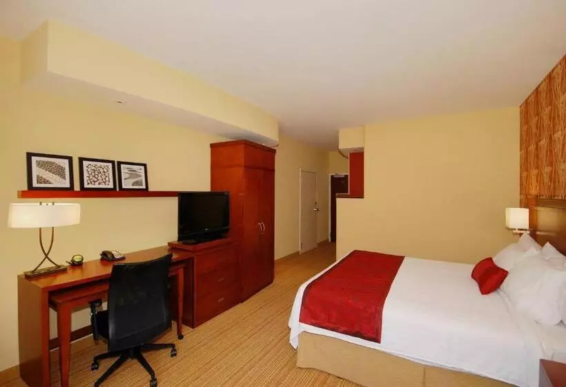 キングサイズベッドのスタンダードルーム, Courtyard By Marriott Vicksburg