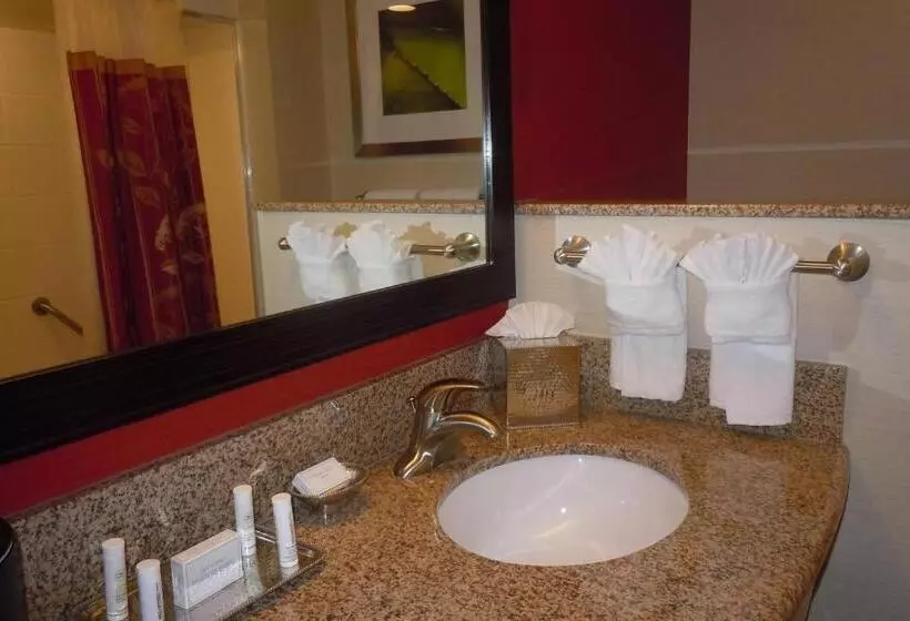 身障者適用キングサイズベッドルーム, Courtyard By Marriott Vicksburg