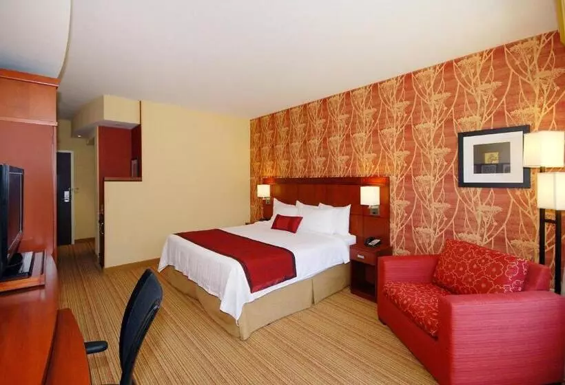 身障者適用キングサイズベッドルーム, Courtyard By Marriott Vicksburg