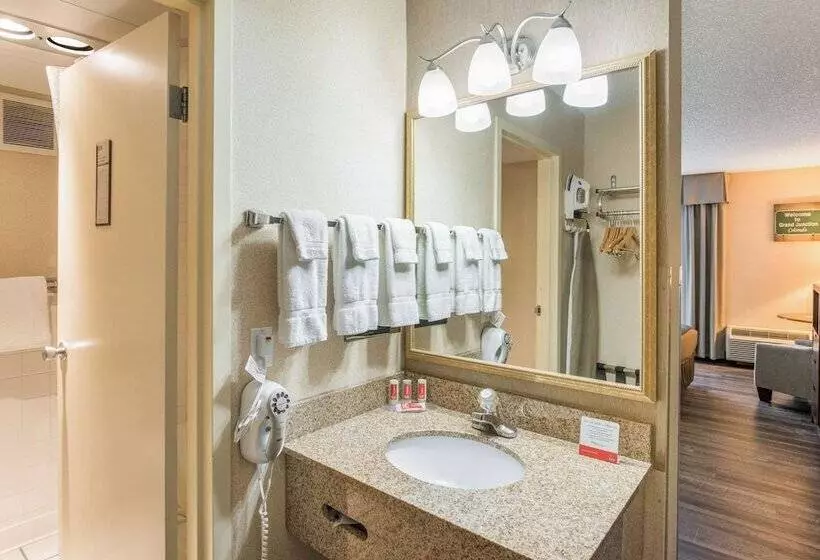 ２ダブルベッドのスタンダードルーム, Econo Lodge