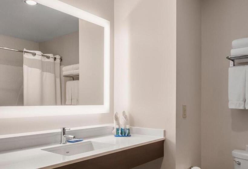 套房, Holiday Inn Express Hotel & Suites Newton Sparta, An Ihg