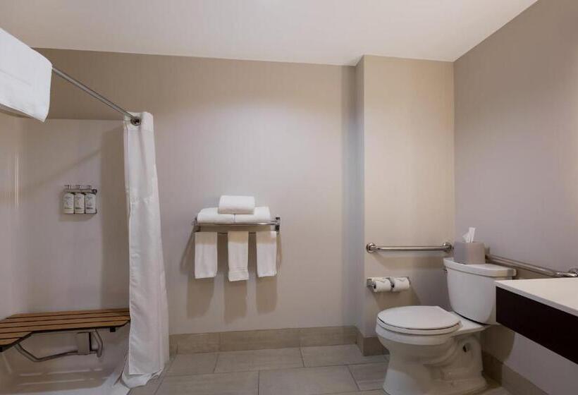 장애인을 위한 킹사이즈 침대 스탠다드 룸, Holiday Inn Express Hotel & Suites Newton Sparta, An Ihg