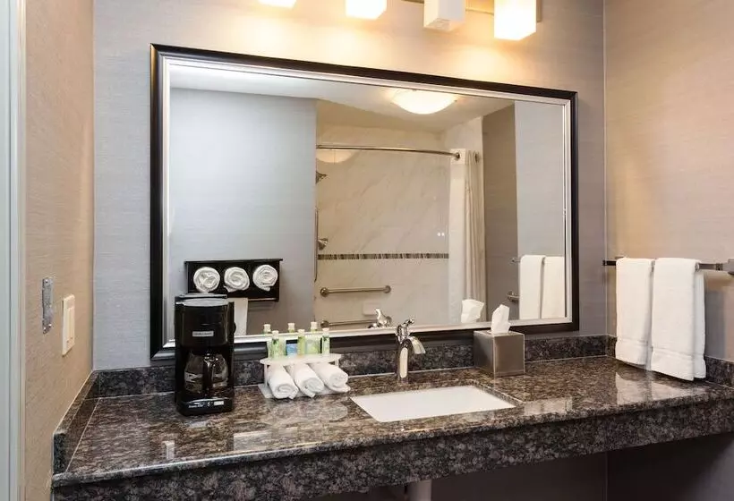 اتاق استاندارد, Holiday Inn Express & Suites Rapid City, An Ihg