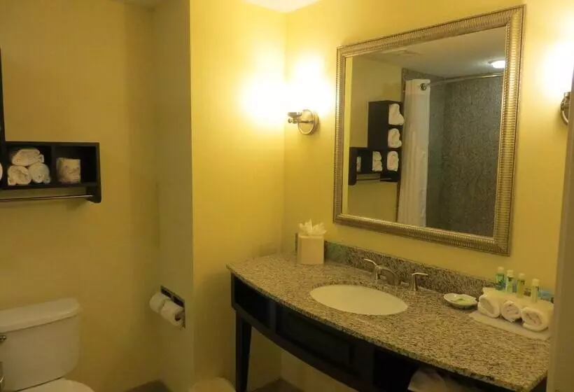 スタンダードルーム, Holiday Inn Express And Suites Saint Augustine North, An Ihg