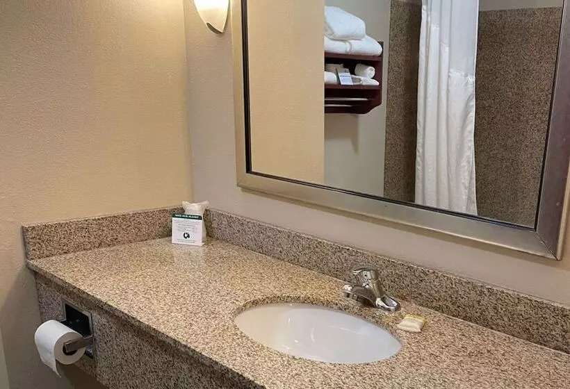 スタンダードルーム, Holiday Inn Express & Suites Niagara Falls, An Ihg