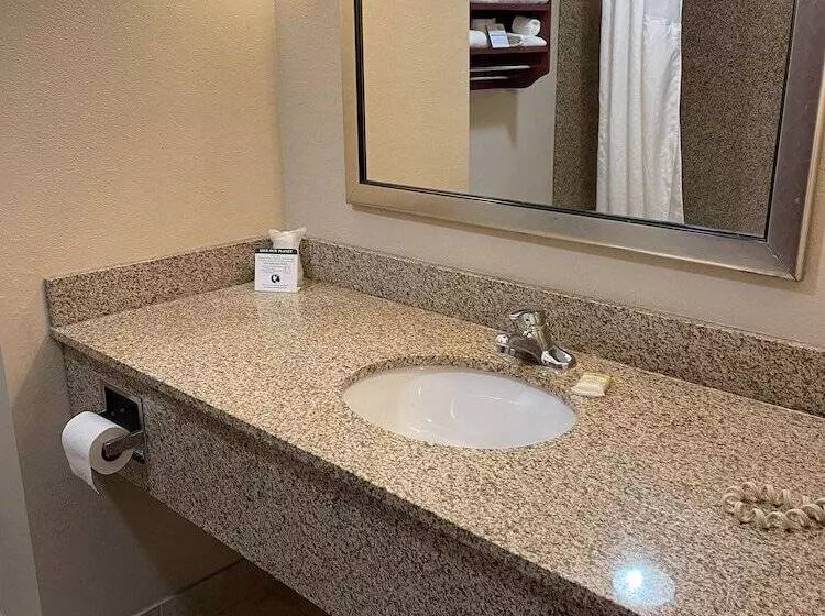 スタンダードルーム, Holiday Inn Express & Suites Niagara Falls, An Ihg
