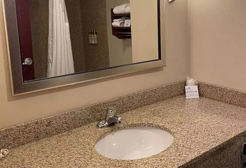 スタンダードルーム, Holiday Inn Express & Suites Niagara Falls, An Ihg