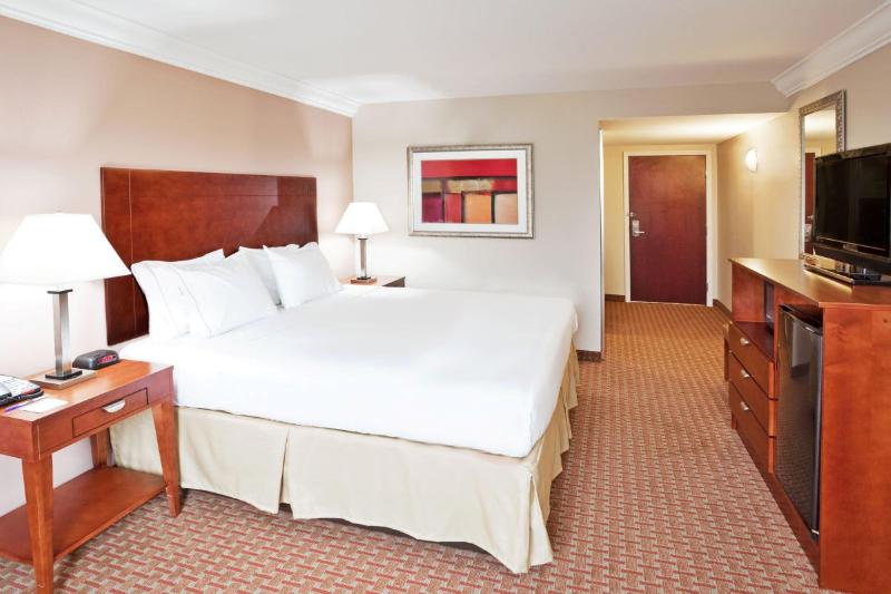 キングサイズベッドのスタンダードルーム, Holiday Inn Express & Suites Niagara Falls, An Ihg