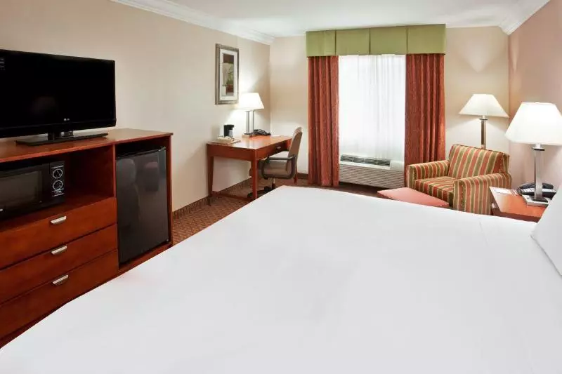 キングサイズベッドのスタンダードルーム, Holiday Inn Express & Suites Niagara Falls, An Ihg