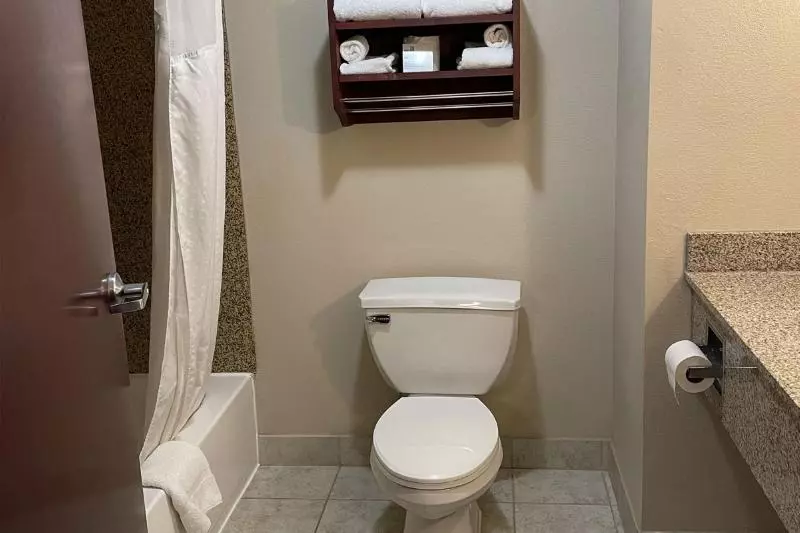 エクゼクティブスイート, Holiday Inn Express & Suites Niagara Falls, An Ihg
