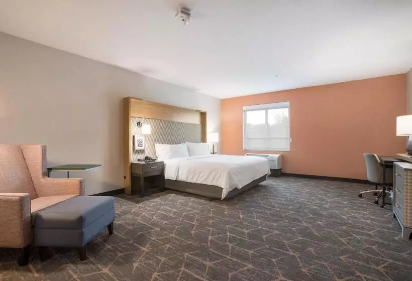 身障者適用キングサイズベッドルーム, Holiday Inn Jackson Nw   Airport Road, An Ihg