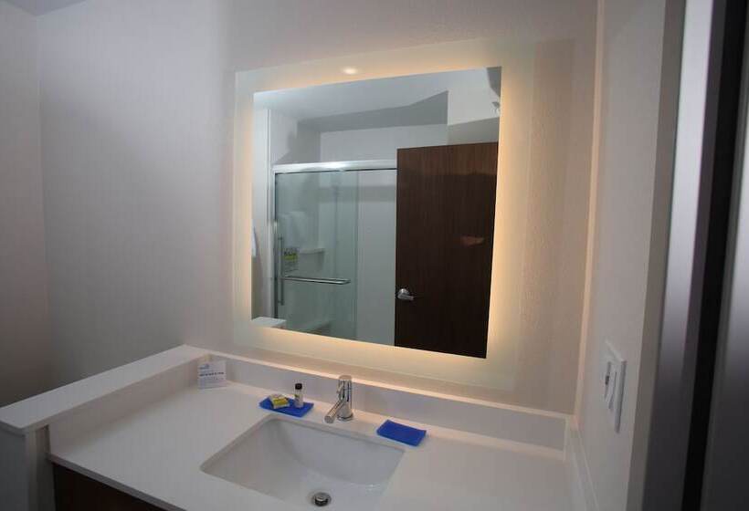 장애인을 위한 스탠다드 룸, Holiday Inn Lincoln Southwest, An Ihg