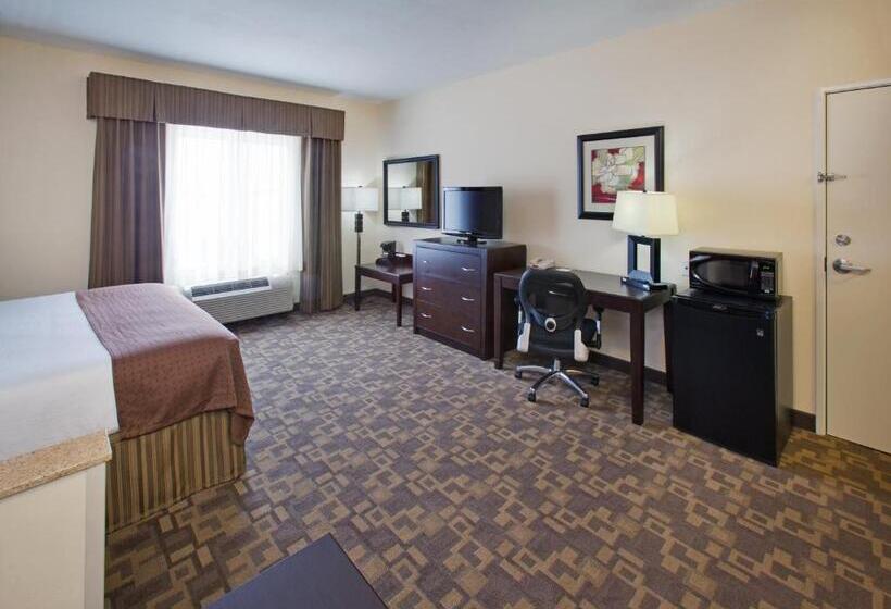 스탠다드 룸 킹사이즈 침대, Holiday Inn Lincoln Southwest, An Ihg