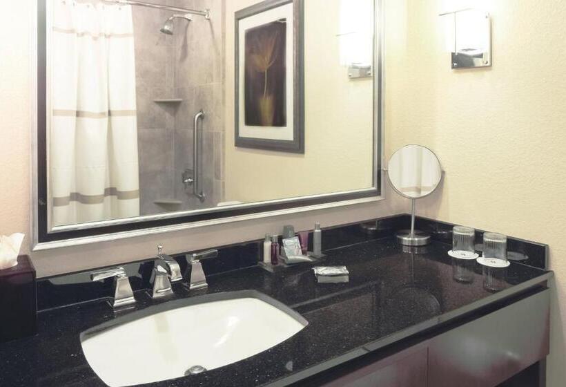 חדר סטנדרט עם מיטת קינג, Houston Marriott Energy Corridor
