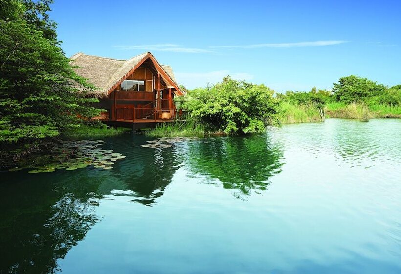 标准间, Jetwing Vil Uyana