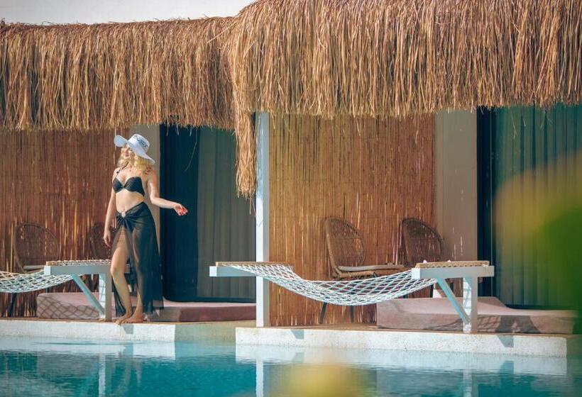 Номер Стандарт, Morina Deluxe