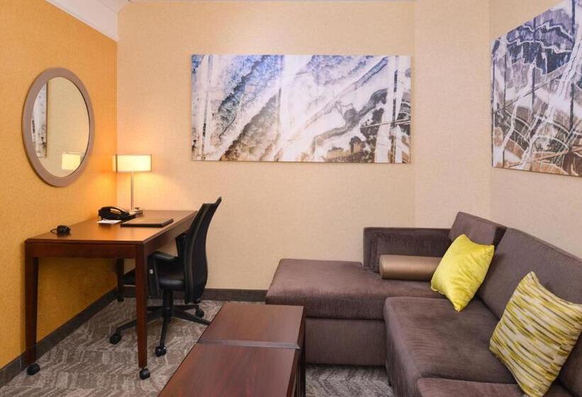 带大床的标准工作室, Springhill Suites Pittsburgh Mills