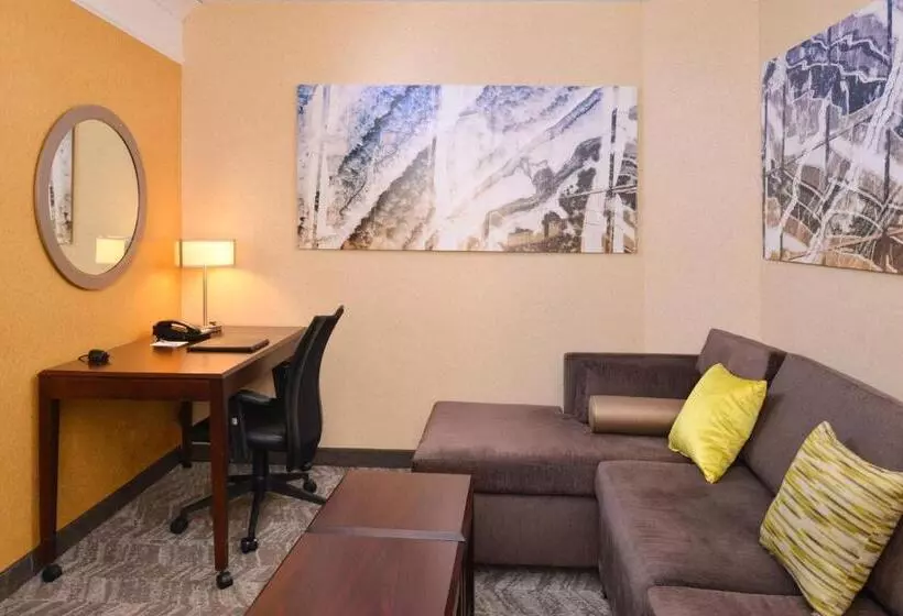 キングサイドベッドのスタンダードワンルーム, Springhill Suites Pittsburgh Mills