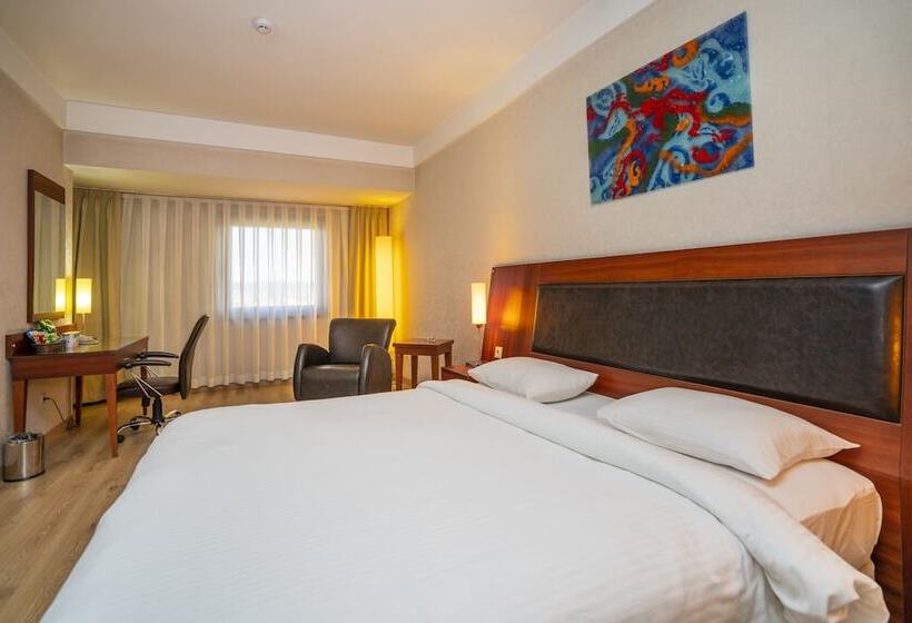 디럭스 룸, Anemon Grand Eskisehir