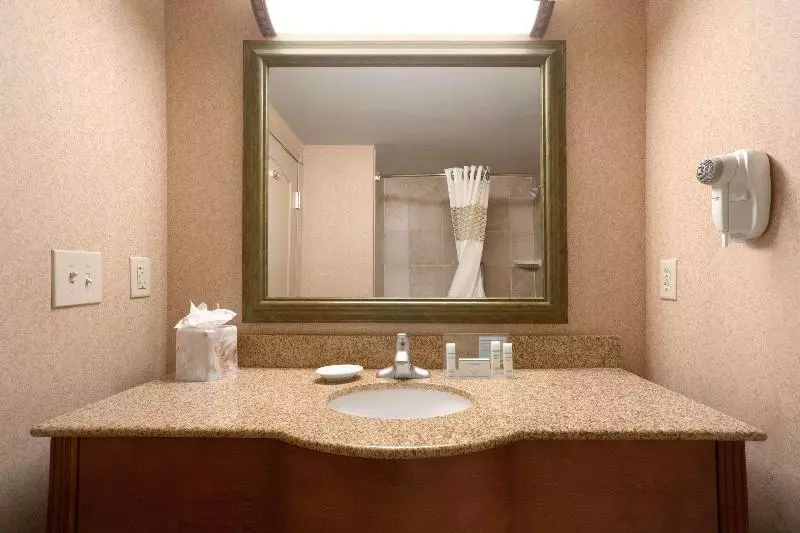 キングサイズベッドのスタンダードルーム, Hampton Inn Canon City