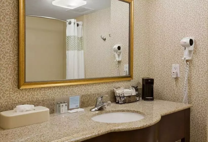 スタンダードルーム, Hampton Inn By Hilton Dunn