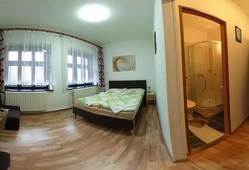 Standard-huone, Penzion Heřmanice