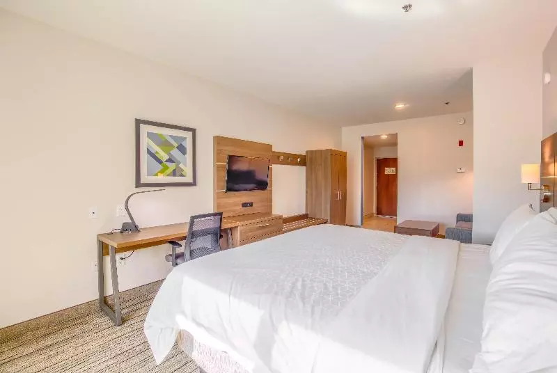 اتاق استاندارد با تخت بزرگ برای معلولان, Holiday Inn Express Hotel & Suites Gulf Shores, An Ihg