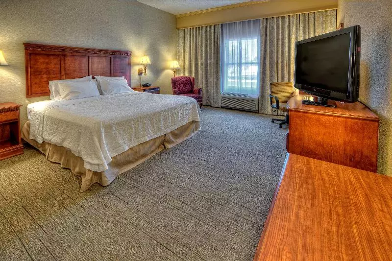 キングサイズベッドのスタンダードルーム, Hampton Inn Manning