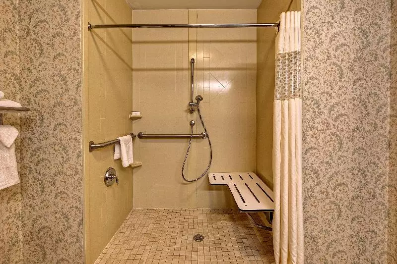 キングサイズベッドのスタンダードルーム, Hampton Inn Manning