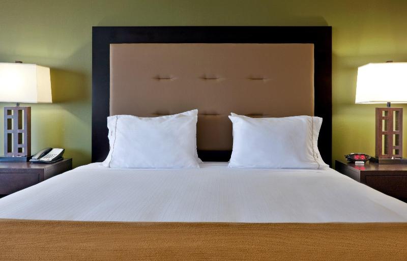 غرفة قياسية سرير كينج, Holiday Inn Express Hotel Twin Falls, An Ihg