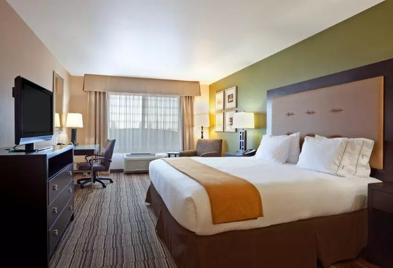 اتاق استاندارد با تخت بزرگ, Holiday Inn Express Hotel Twin Falls, An Ihg