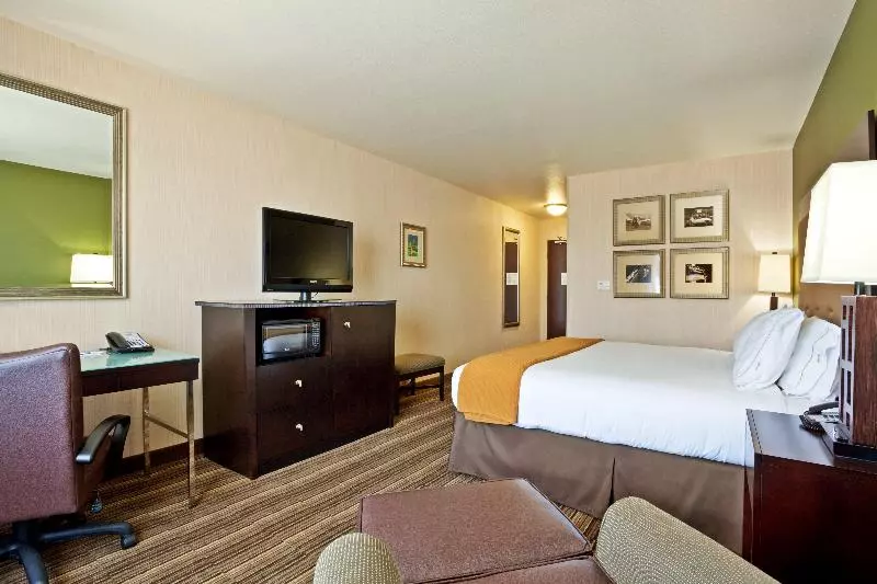 اتاق استاندارد با تخت بزرگ برای معلولان, Holiday Inn Express Hotel Twin Falls, An Ihg
