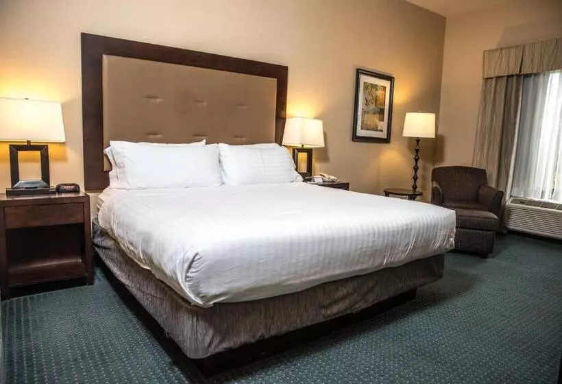 キングサイズベッドのスタンダードルーム, Holiday Inn Express & Suites Detroit   Novi, An Ihg