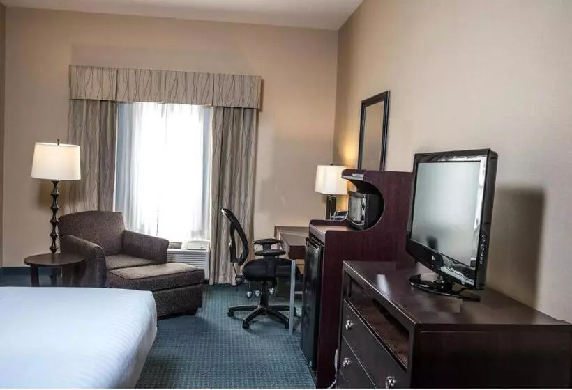 キングサイズベッドのスタンダードルーム, Holiday Inn Express & Suites Detroit   Novi, An Ihg