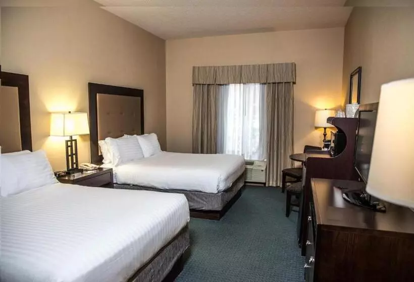 スタンダードルーム, Holiday Inn Express & Suites Detroit   Novi, An Ihg