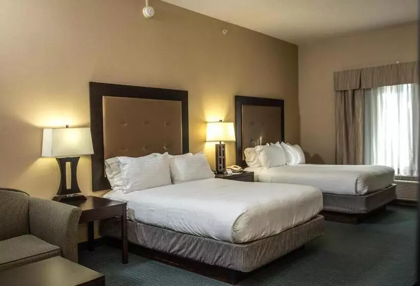 キングサイズベッドのエクゼクティブ, Holiday Inn Express & Suites Detroit   Novi, An Ihg