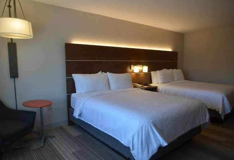スタンダードルーム, Holiday Inn Express Hotel & Suites Rochester, An Ihg