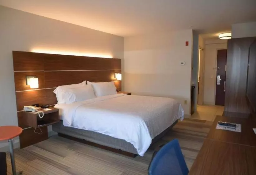 キングサイズベッドのスタンダードルーム, Holiday Inn Express Hotel & Suites Rochester, An Ihg