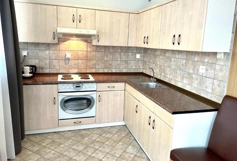 غرفة ديلوكس, Poleczki Residence Apartments