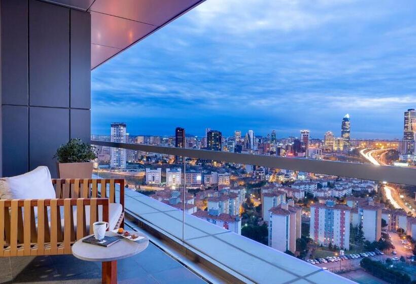 سوییت جونیور با چشم‌انداز شهر, Radisson Blu Hotel Istanbul Asia