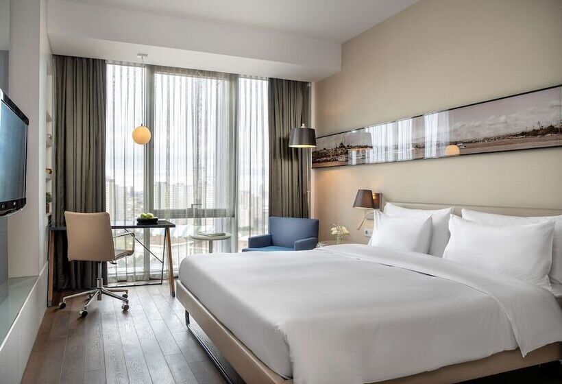 シティビュープレミアムルーム, Radisson Blu Hotel Istanbul Asia