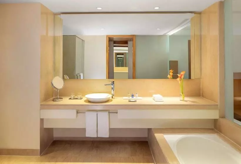 デラックスルーム, Radisson Blu Plaza Hotel Hyderabad Banjara Hills