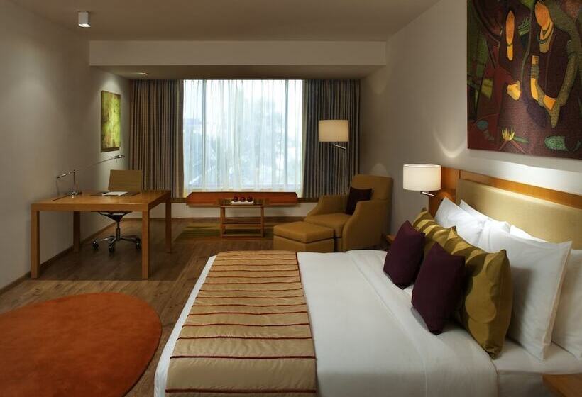 Номер Deluxe, Radisson Blu Plaza Hotel Hyderabad Banjara Hills