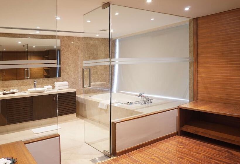 سوییت, Radisson Blu Plaza Hotel Hyderabad Banjara Hills