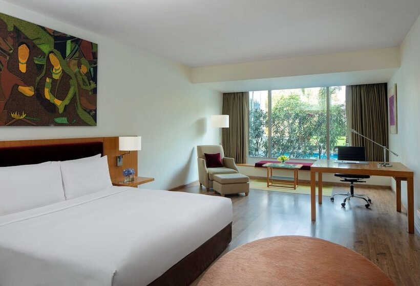 Номер Deluxe, Radisson Blu Plaza Hotel Hyderabad Banjara Hills