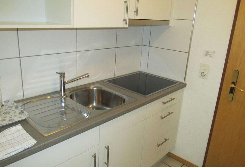 スーペリアスタジオ, Apartments Patricia