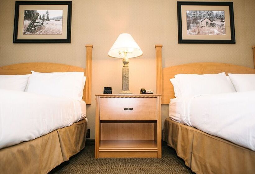 Номер Стандарт, Holiday Inn Express & Suites Custer Mt Rushmore