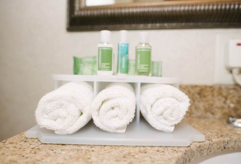 جناح, Holiday Inn Express & Suites Custer Mt Rushmore