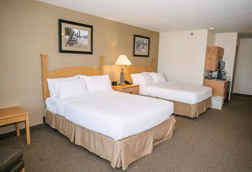 スイート, Holiday Inn Express & Suites Custer Mt Rushmore