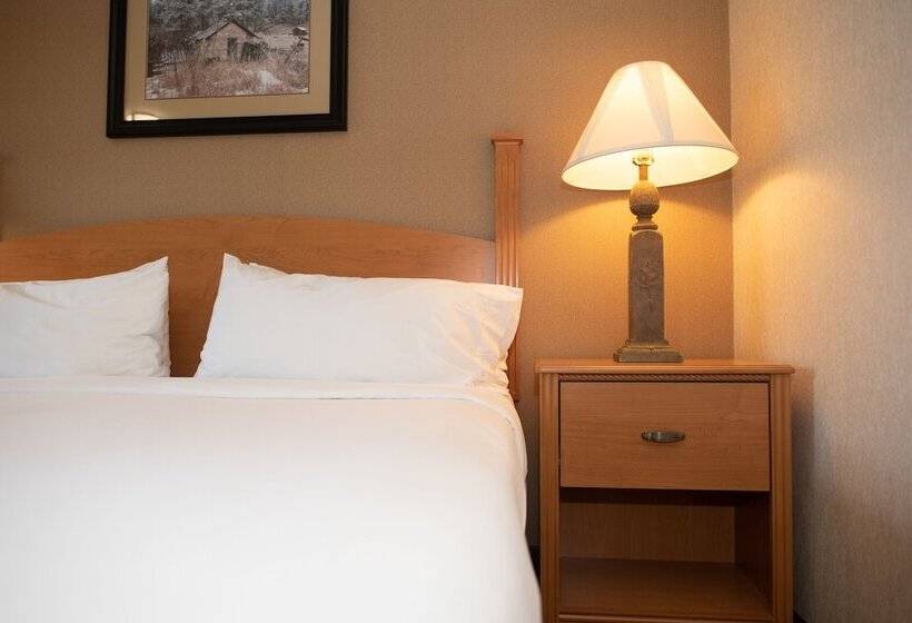 Люкс, Holiday Inn Express & Suites Custer Mt Rushmore